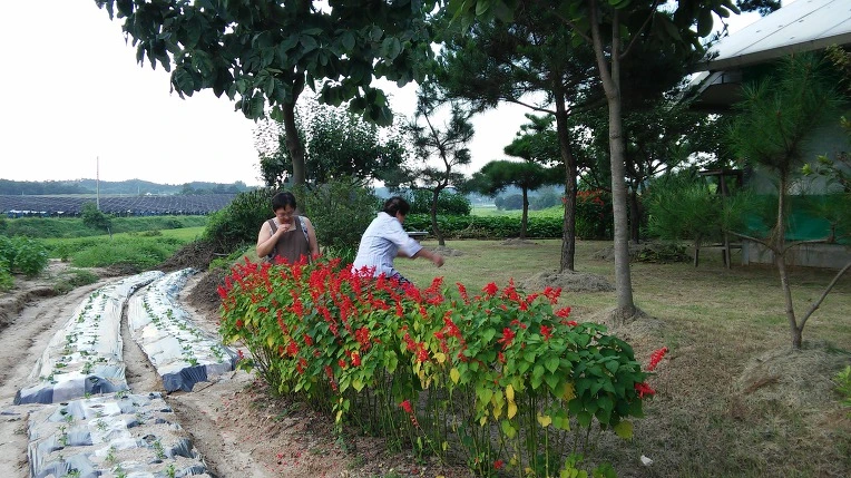 9967273359A7DC2C2E5C35