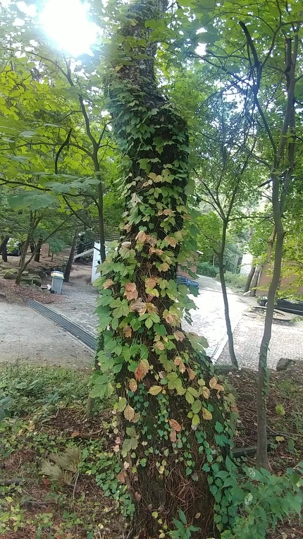 99B687365E50CF032B1ACD