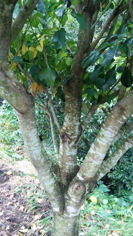 21571B3C564008FE1F4603