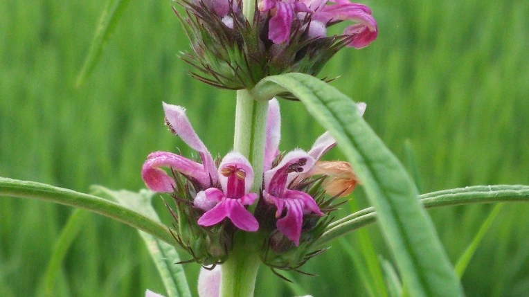 2648C84757982E7F20E9DF