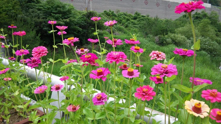 997B2A33599E27AF03B851