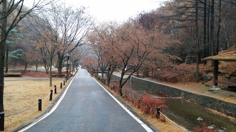 26280938564D16CA1A499B