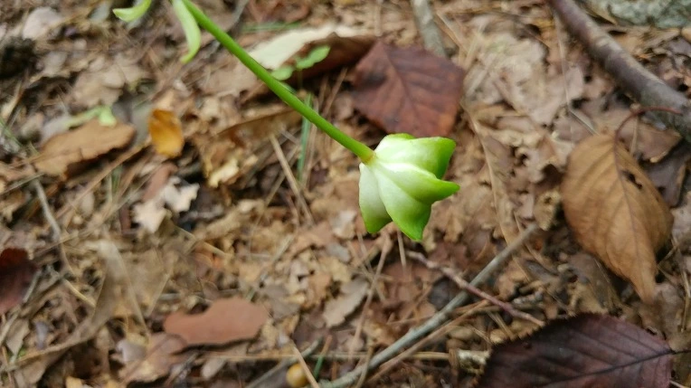 998A5F3D5DBE6AD7062E6C