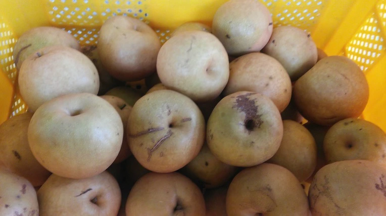 26105E4657F2DFE52B0769