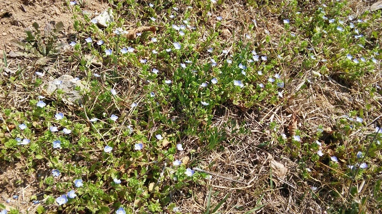 2126794A570366D7351B60