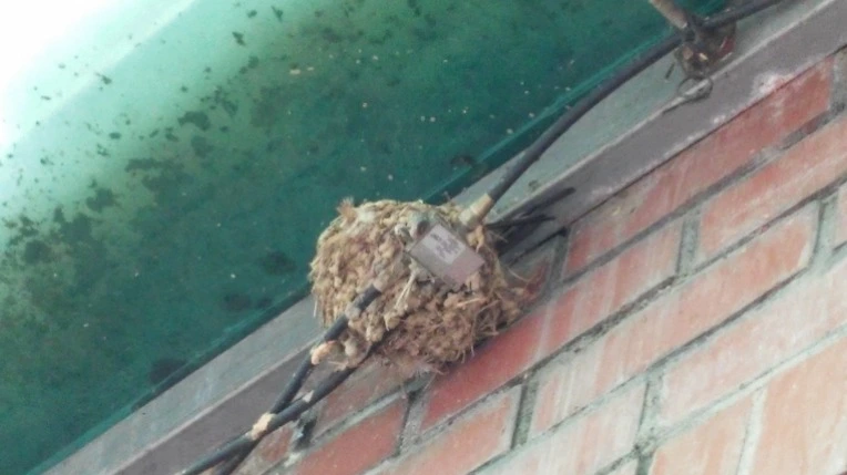 251DAE4D5786C0FF1158AA