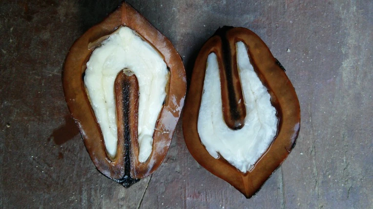 991E6F495E65EC7A17EA2B