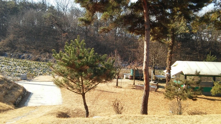 216B694F5865C711138113