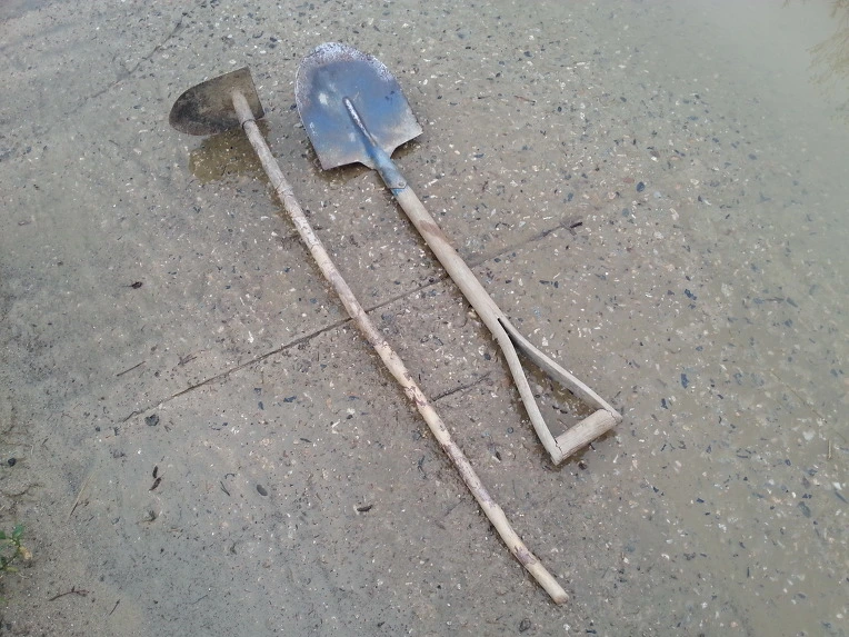 2668BC4B53CAF2261B1CA4