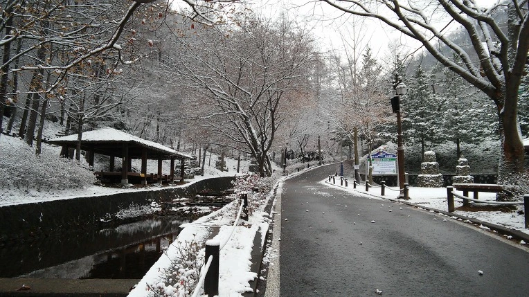 240841395656A52040E6AB