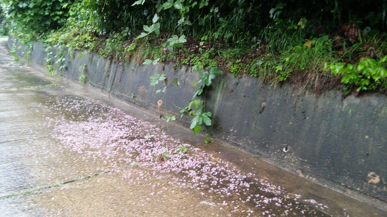 99991B33598F7C771C846E