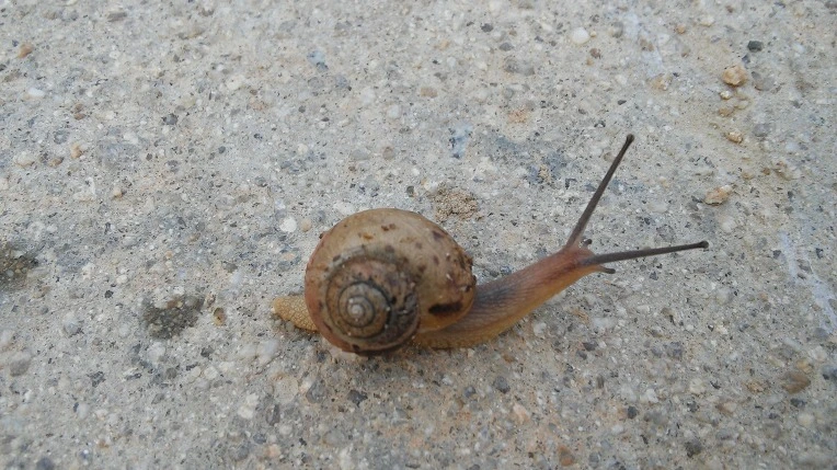 271DCA42574633F7074153