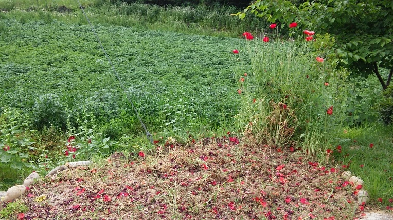 2311D040575E41EF29697F