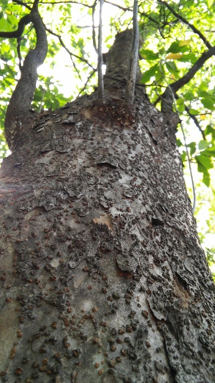 2739693D560FBC110C803A