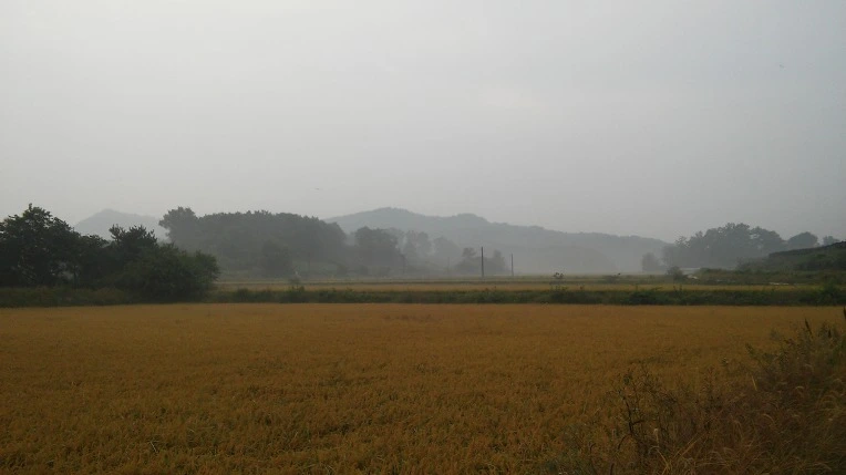 275EA34957E701F0236F76