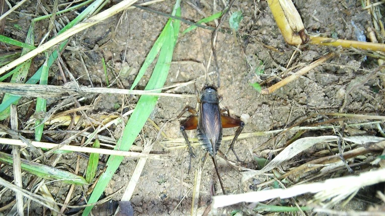 27542F4B57D21A770DCD24