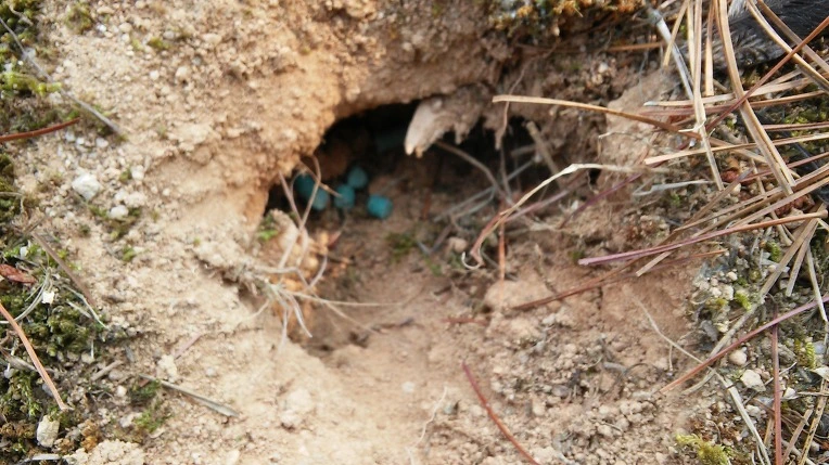 271E3D3A576496070B94A2