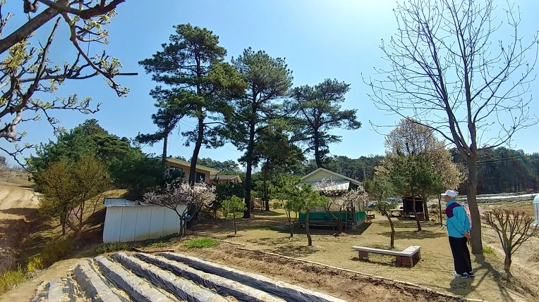 997814505ACD329D1B3379