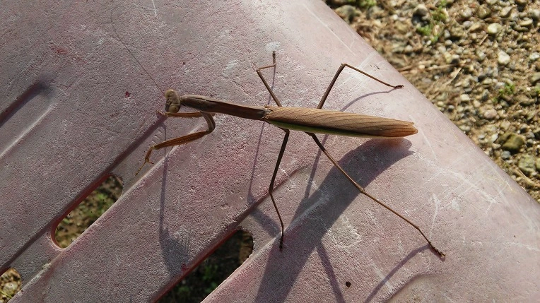 9904D03359A7DCDC180389