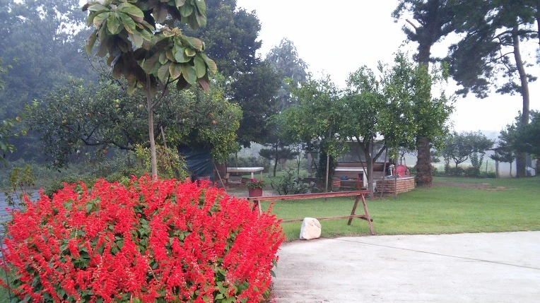 215B683C57D0B89C29343A