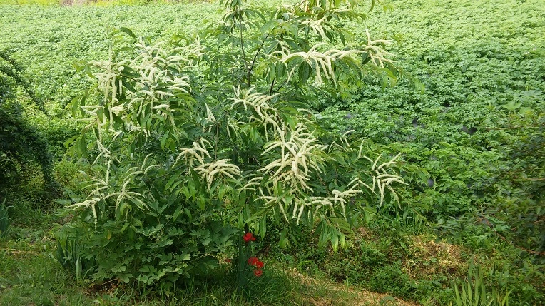 2107A6345758EF7108ABC3