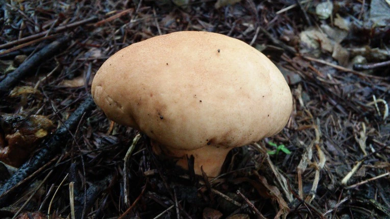 242D1F4956987CEB2D2DD0