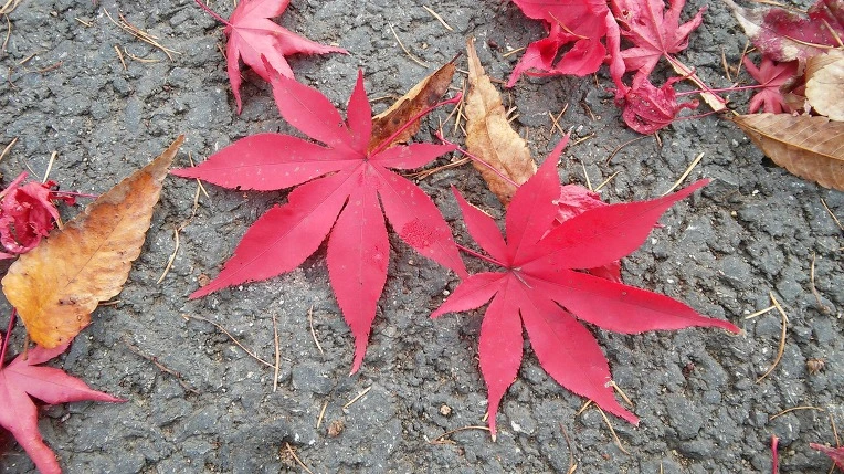 2678F2345643157E0E4C34