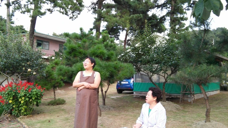 990F823359A7DC3323E04E