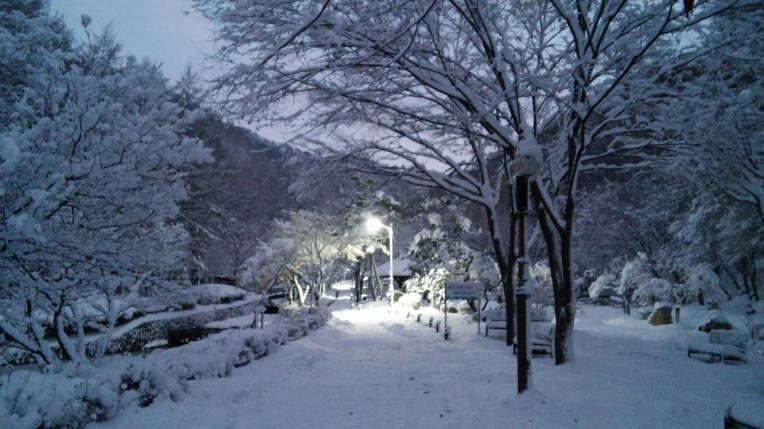 23627E425660CFC12FA54F