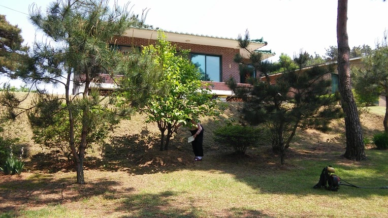 23063133573A59D12ABF12