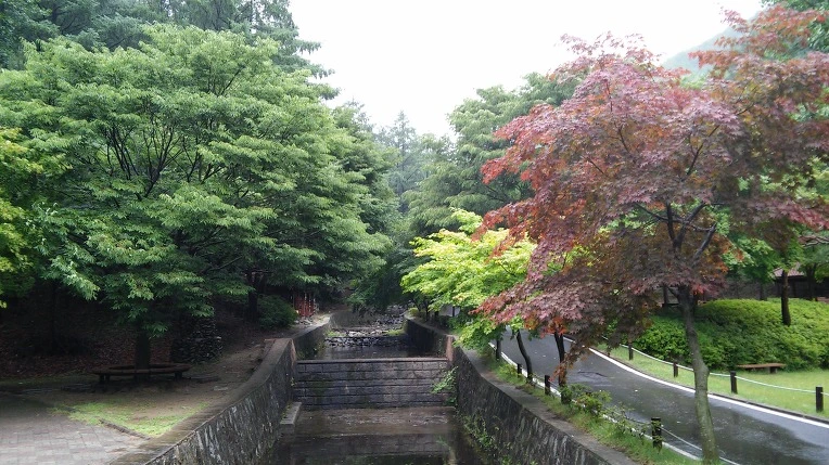 2738053E558C8DB1374EB5