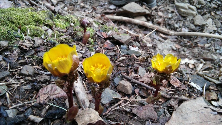 221AA54056D108683094D6