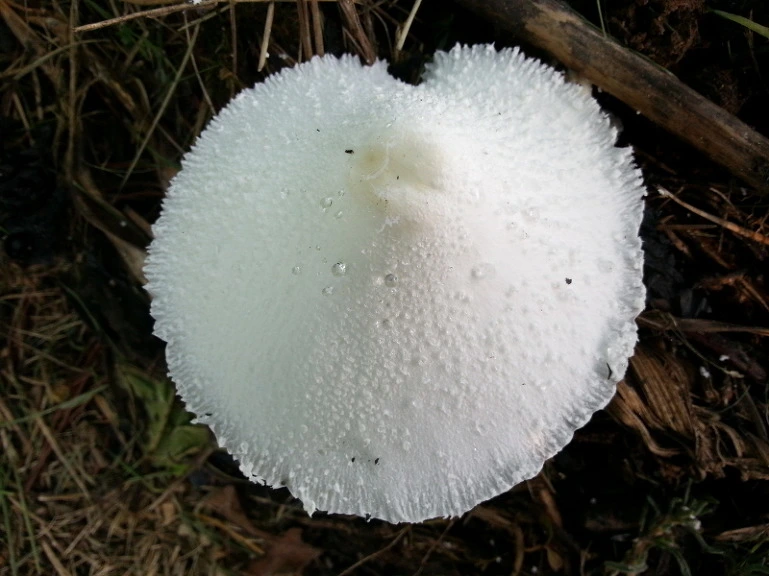 2358324953D86A9901CD69