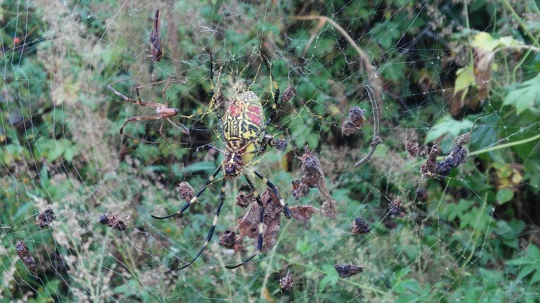 2730984A57E702031C0C12