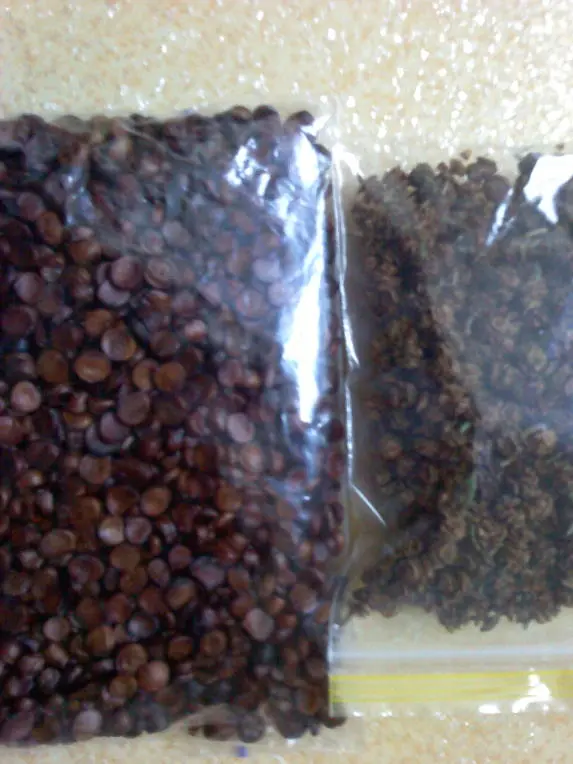 137423564D3D38140ADAFC