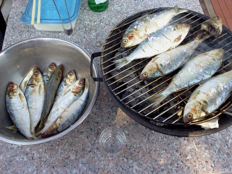 24502B3C542418590BFF68