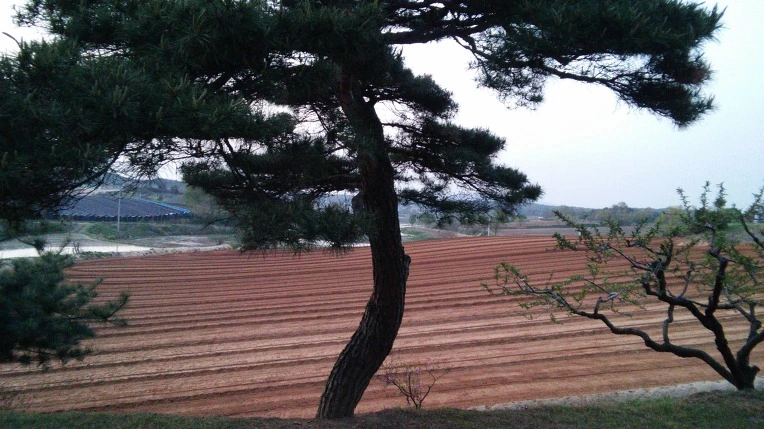 24096D39571DF479117F47