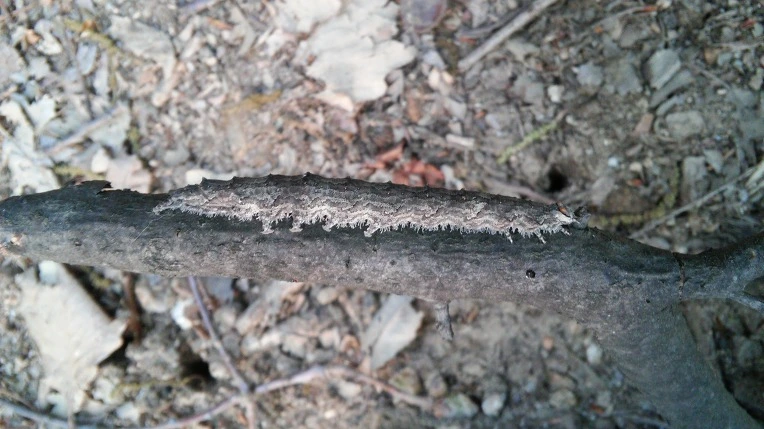 2505A24B5722BCCE2527B9