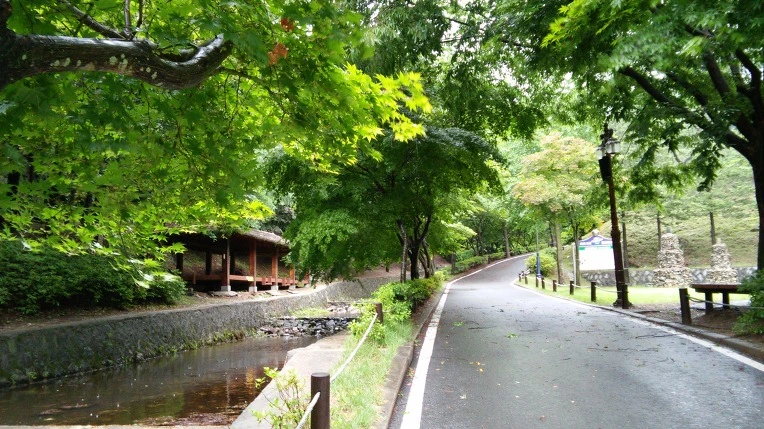 2319B43B569328263C0C6E