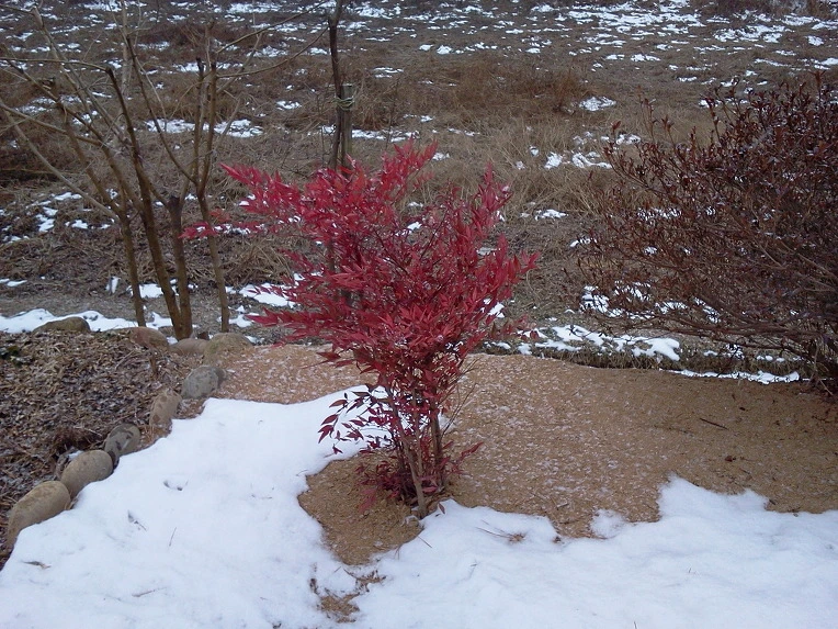 1767743D4F06204B324733