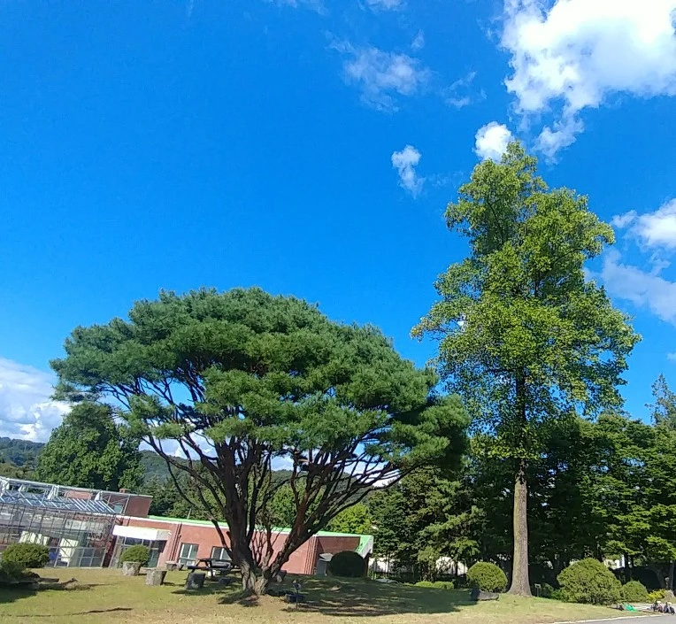 991EF8345C27589F0CFCC1