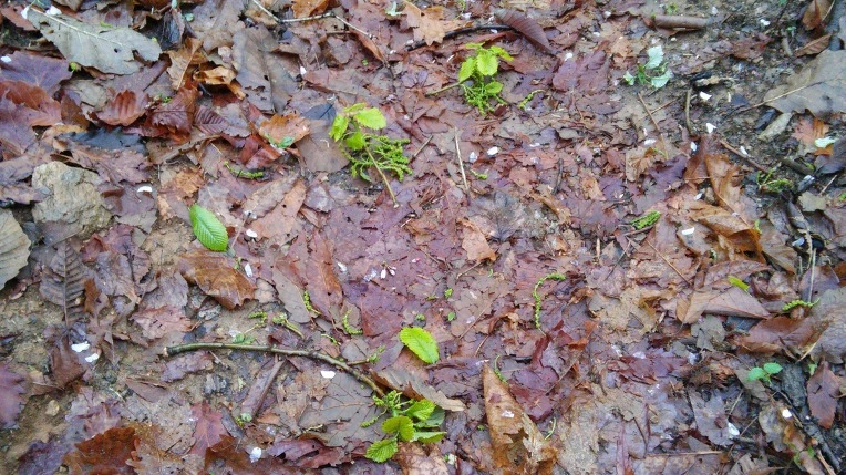 2720A74E5712CCB131EA53