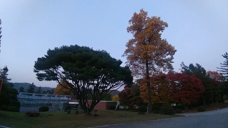 9971533B5C2758BA244895