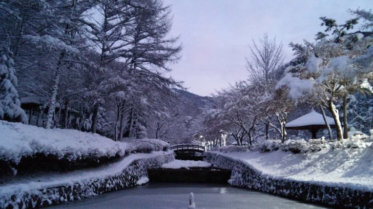 2356CF425660CFC5316A54