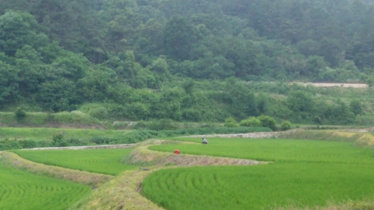 25272339576750AA0E6020