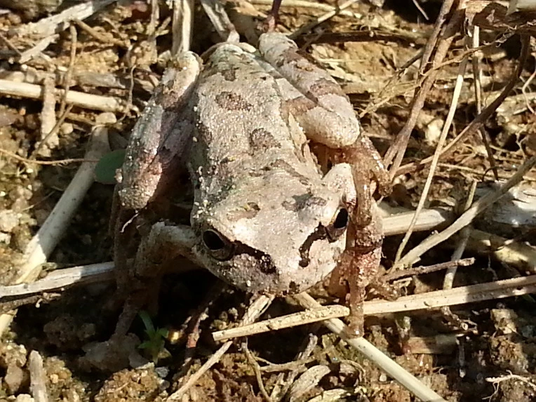 2511C14C56B024E424517D