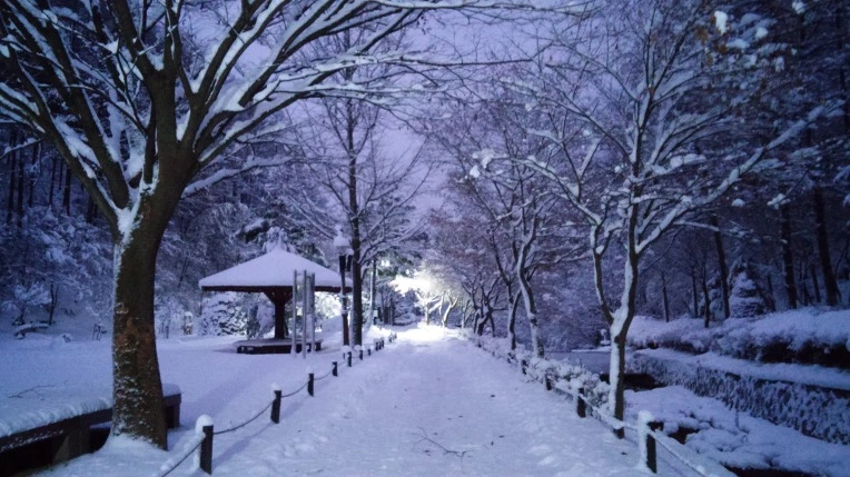 24568A425660CFBE3301DD