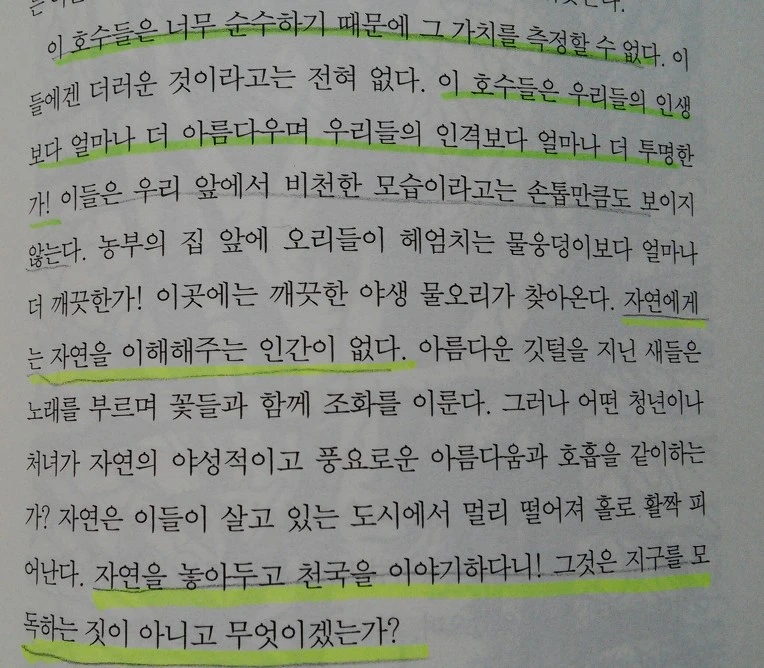 265730495771F42332F91C