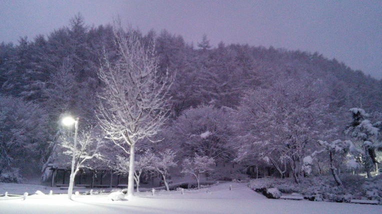 2243DC3F56600907043EC3