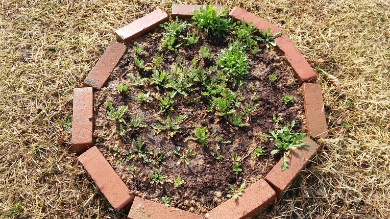 223EF43E56FC8D2B387DA7